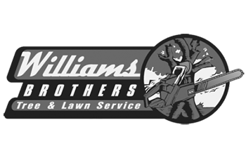 Williams Brothers